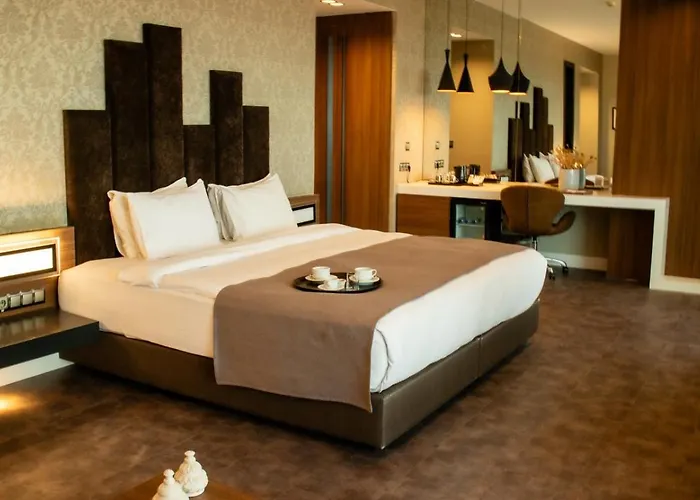 Отель Sam Royal Эскишехир