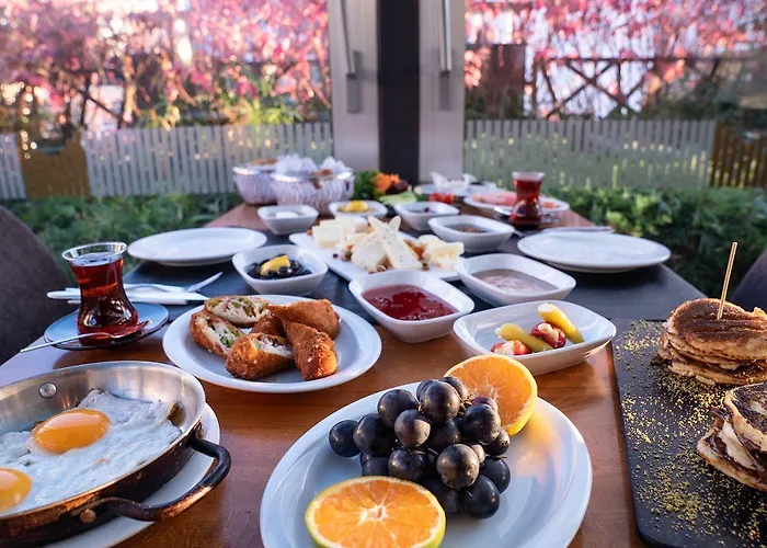 Отель Sam Royal Эскишехир